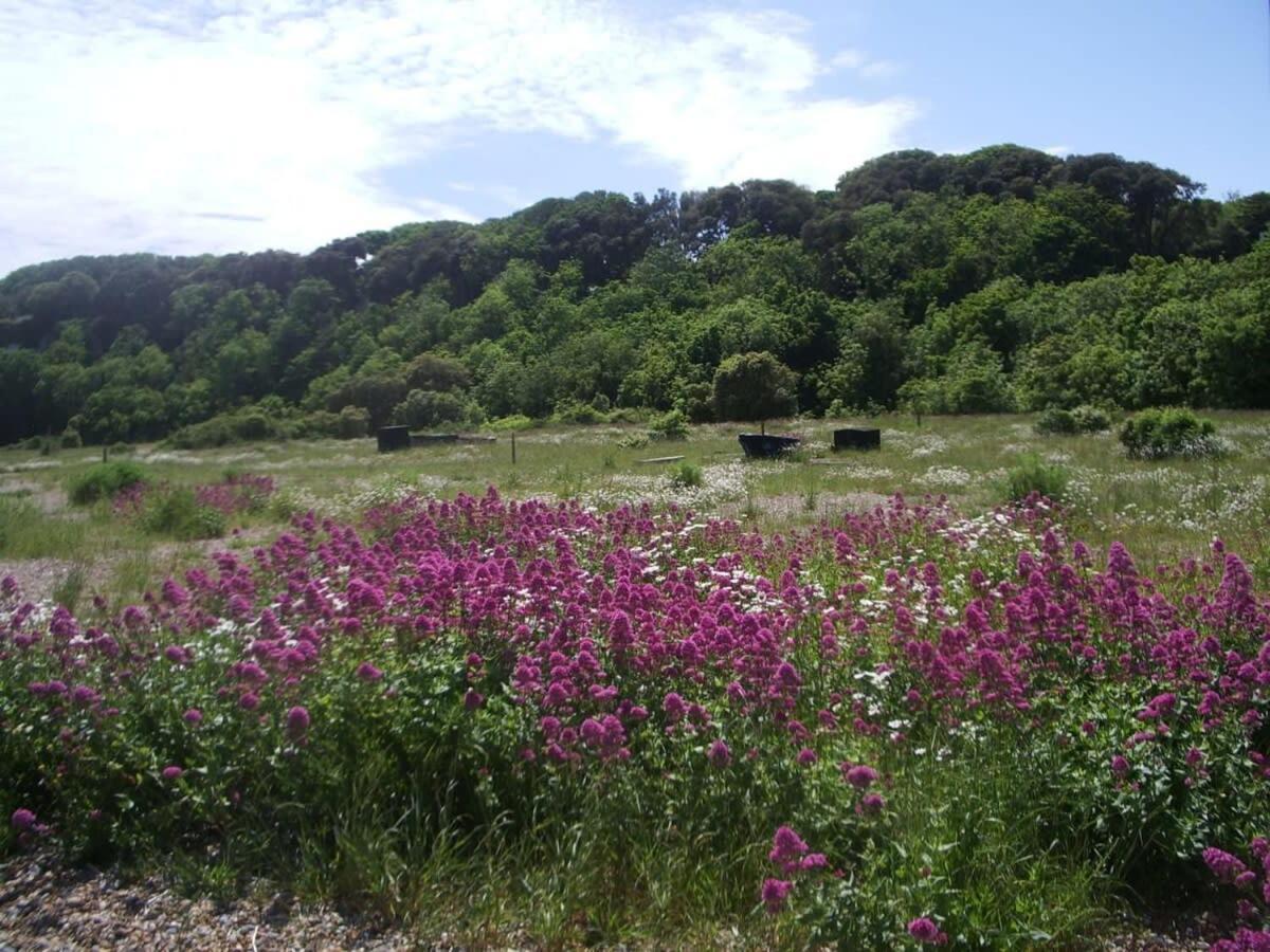 Mariner'S Cottage - On Kingsdown Beach เดล ภายนอก รูปภาพ